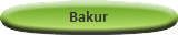 Bakur