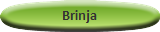 Brinja