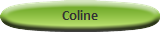 Coline