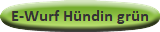 E-Wurf Hündin grün