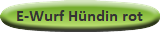 E-Wurf Hündin rot