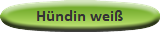 Hündin weiß