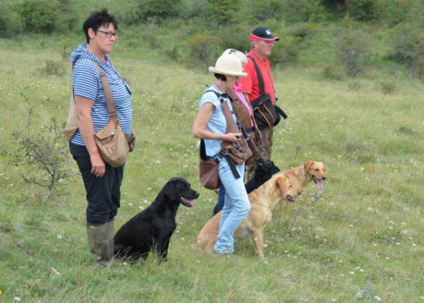 Trainingsferien Ungarn 2016