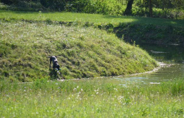 Trainingsferien Ungarn 2016