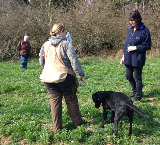 Training Sandra April 2017